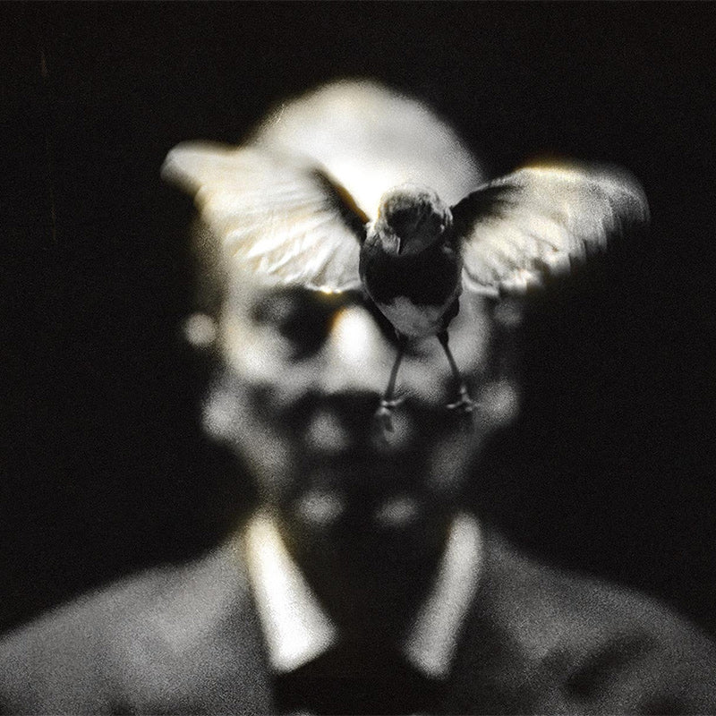 Wunderhorse album cover